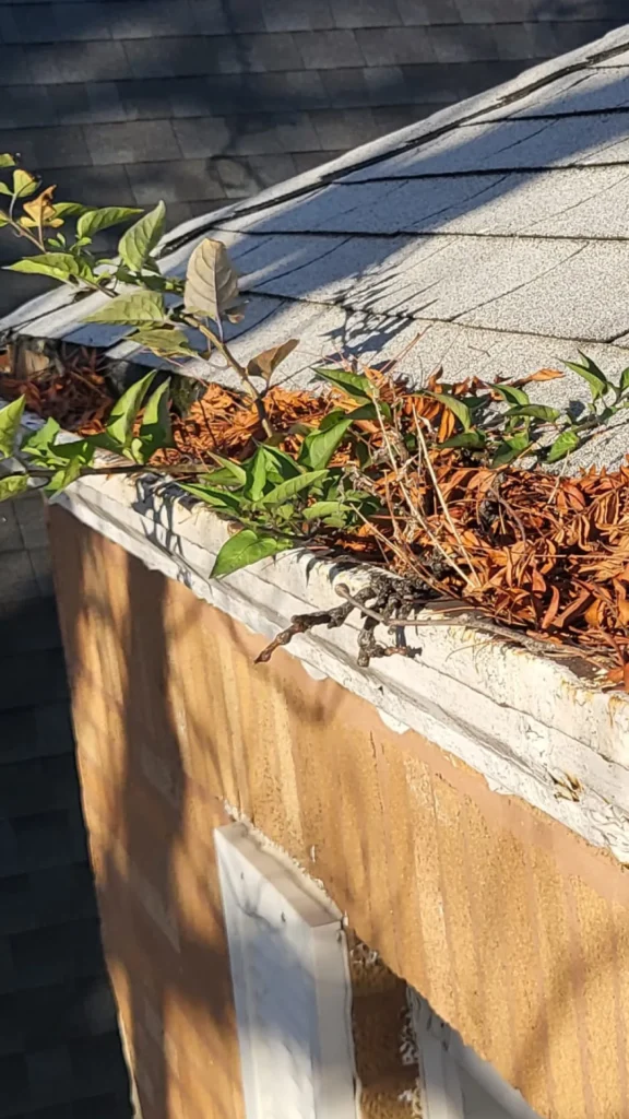 Gutter Wilson - Gutter Cleaning Services in Chicago Illinois